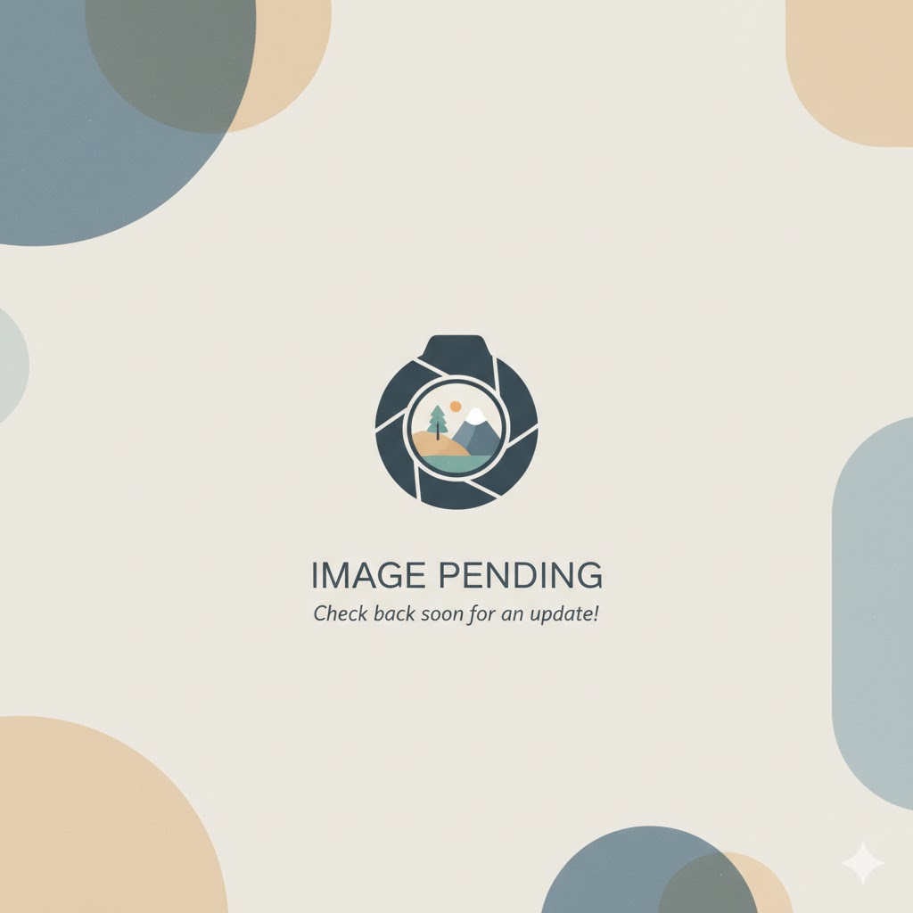 In the modern economic world, if you have right mindset about money, you'll be happy. No matter how much money you can earn